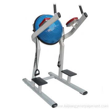 Chin dip leg raise with balance ball machine